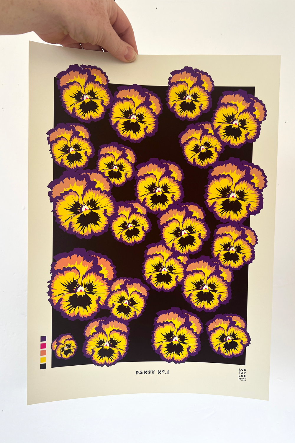 A3 Pansy No.1