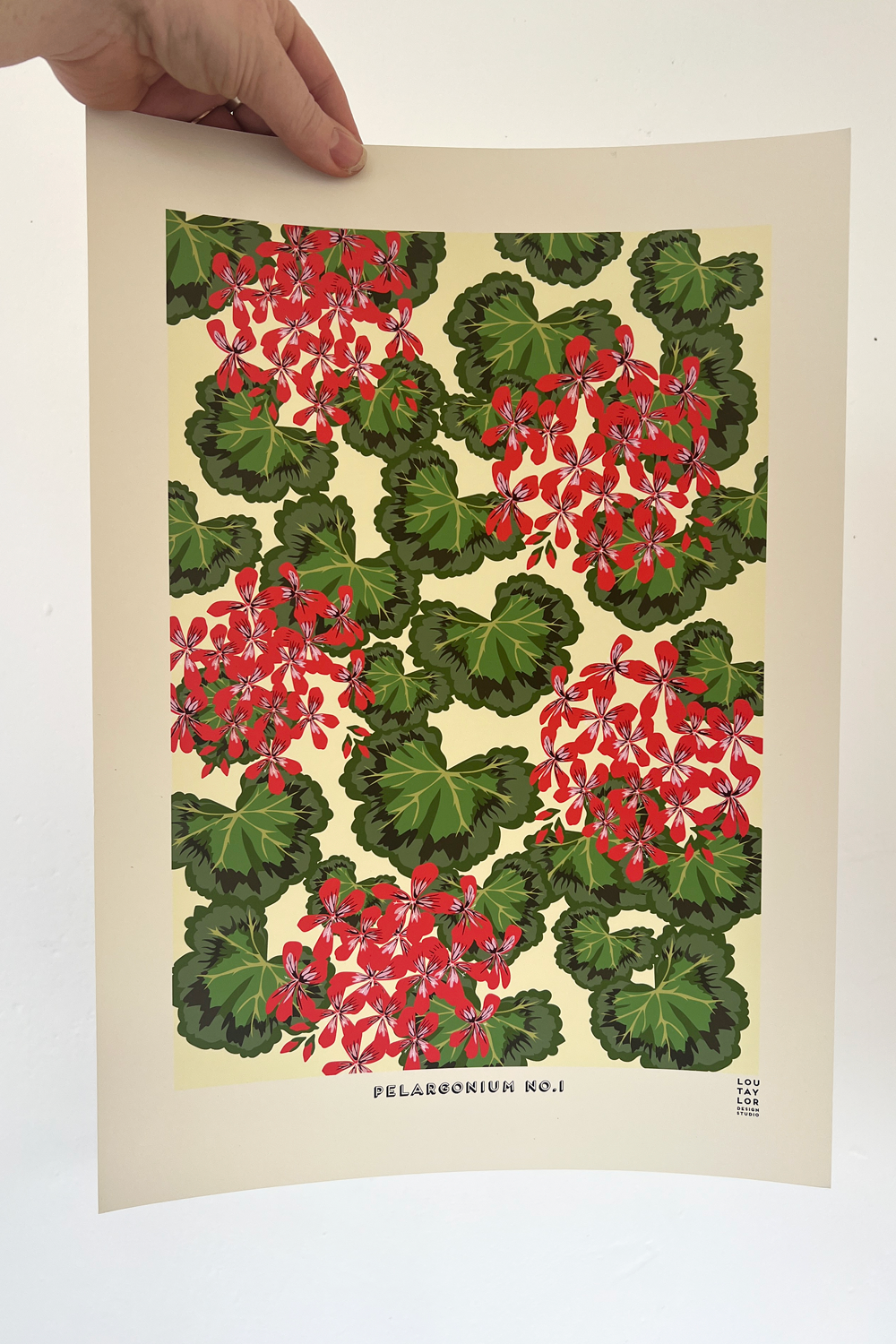 A3 Red Pelargonium No.1