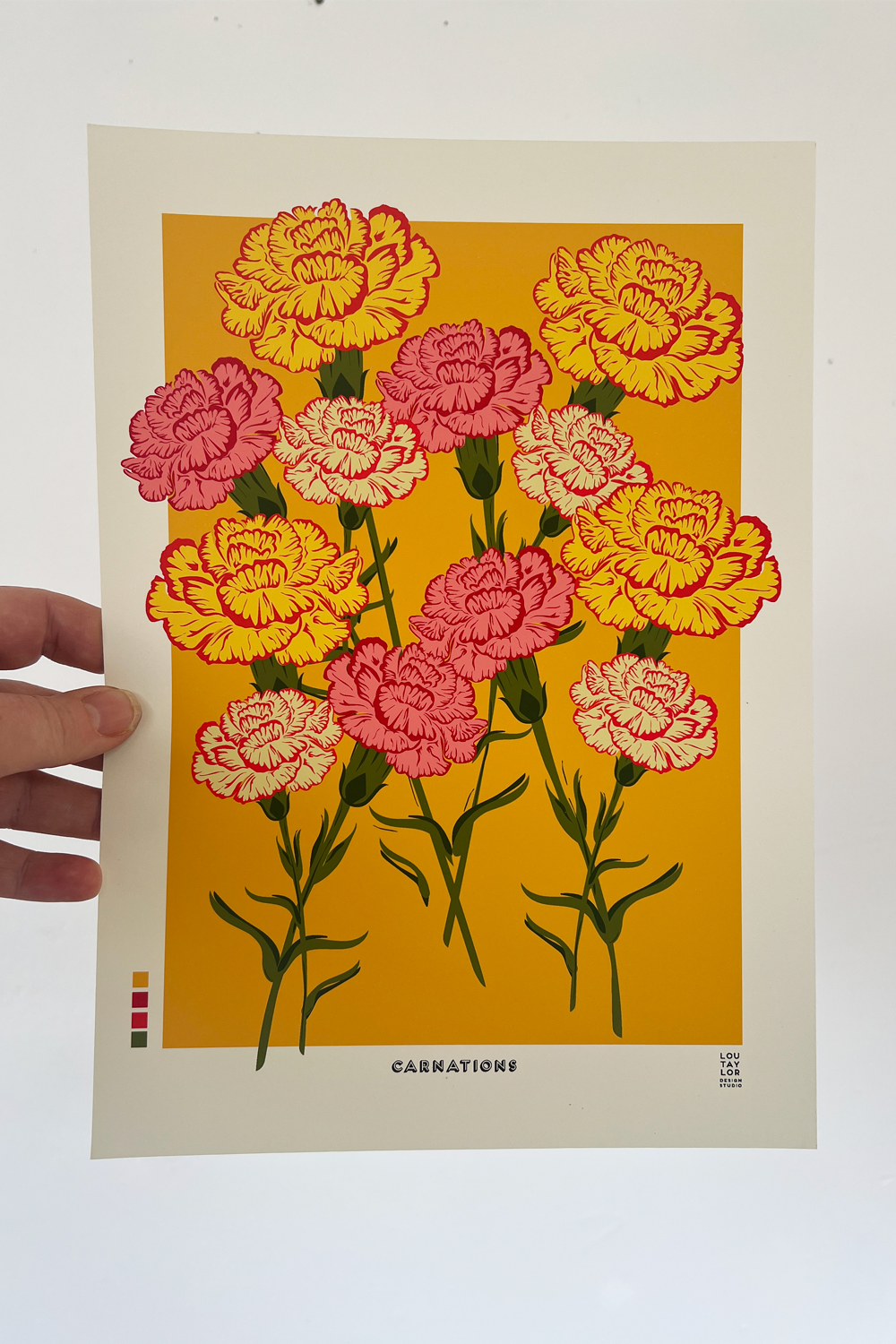 A4 Carnations