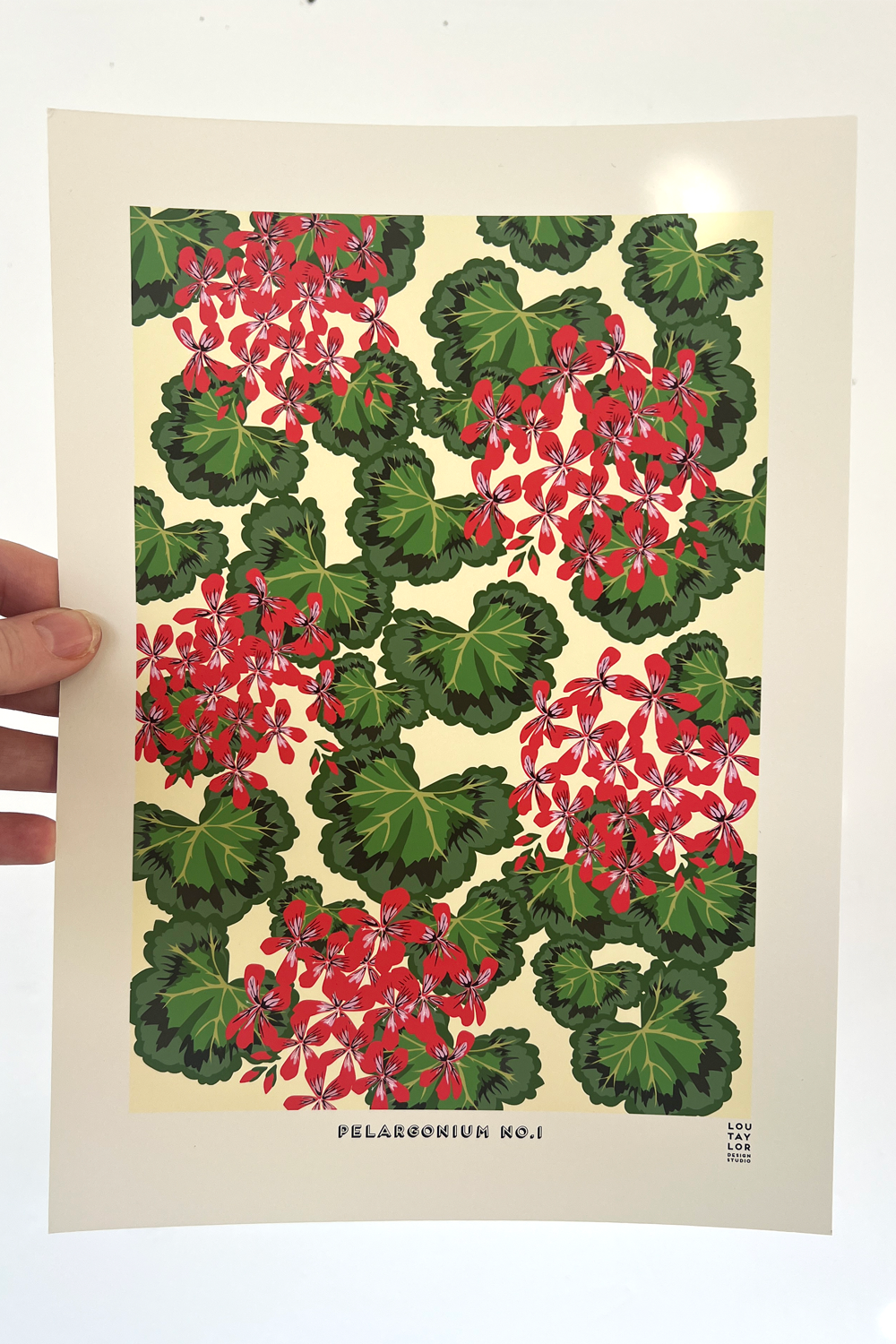 A4 Pelargonium No.1