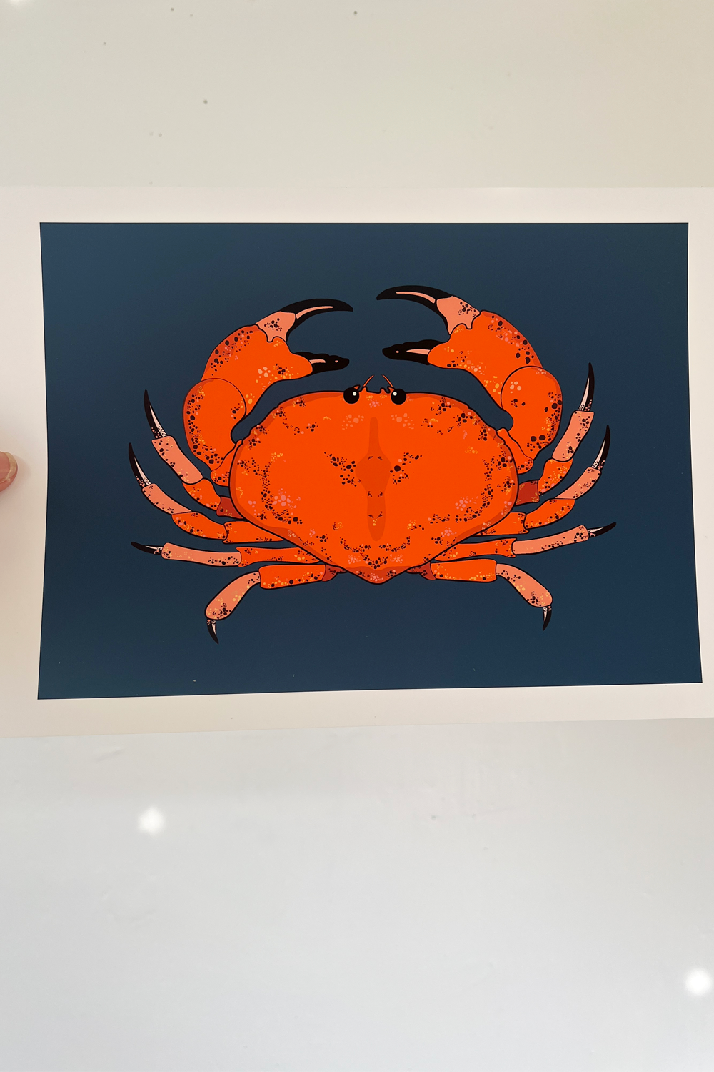 A4 Blue Crab