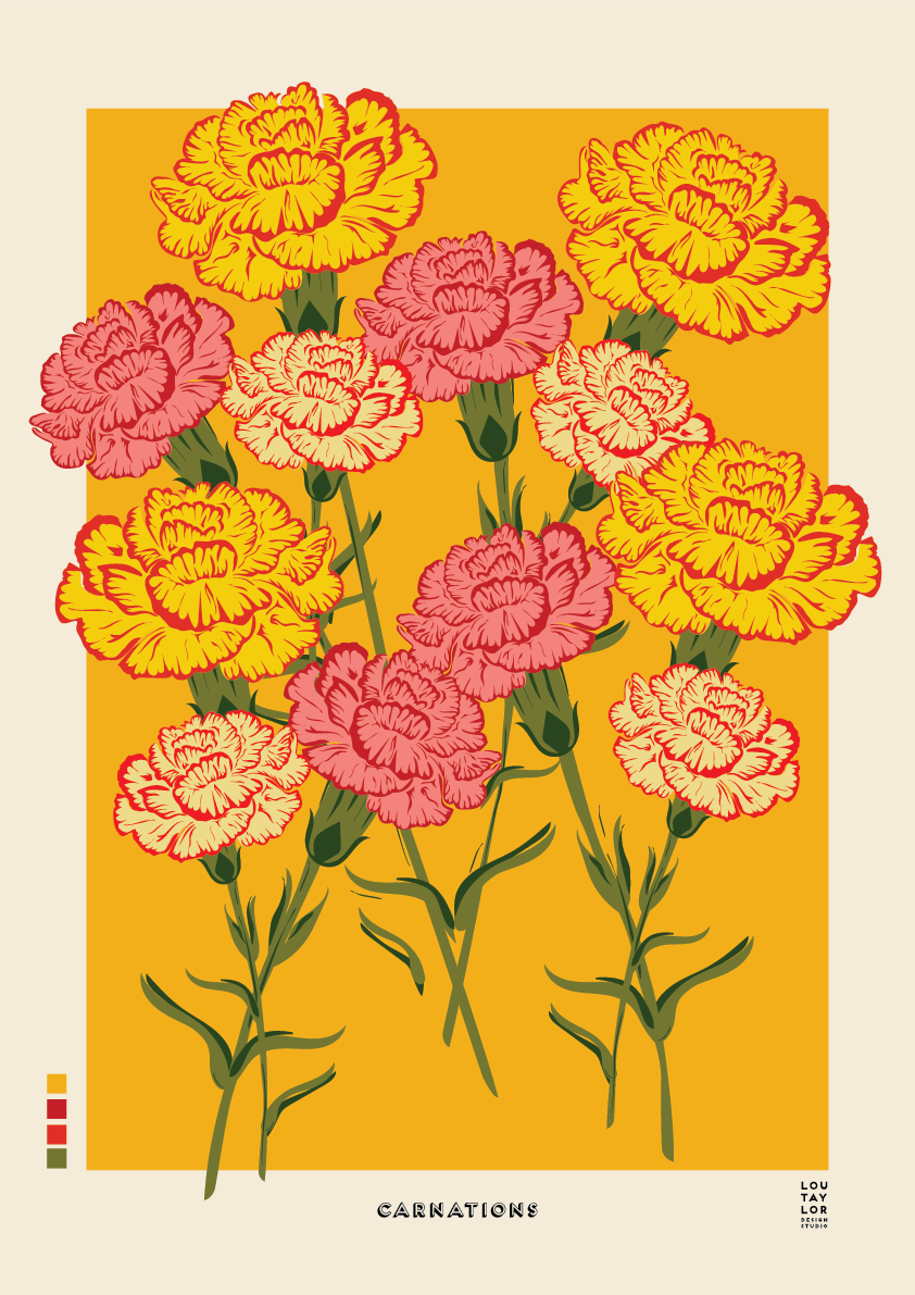 Carnations