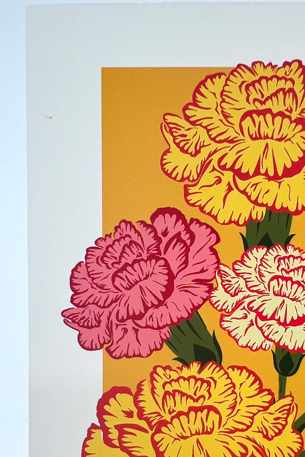 A5 Carnations