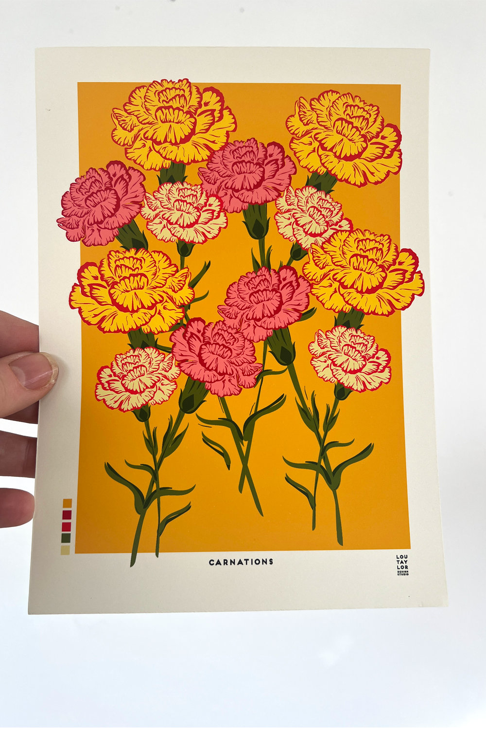 A5 Carnations
