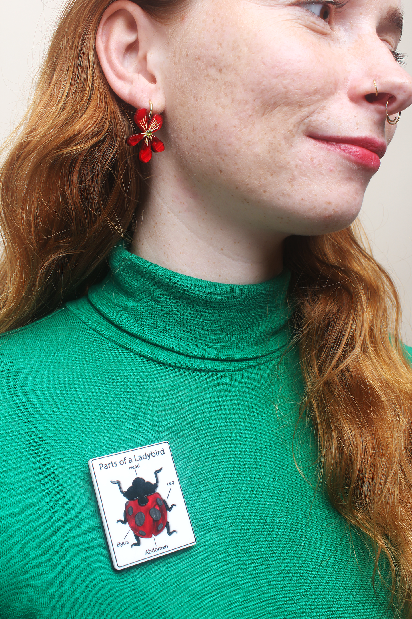 Parts of a Ladybird brooch