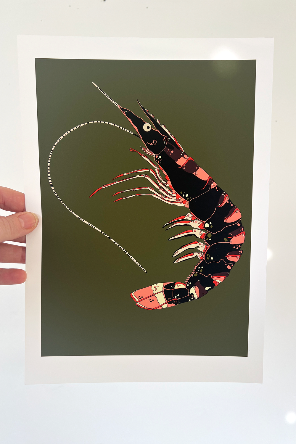 A4 Green Prawn