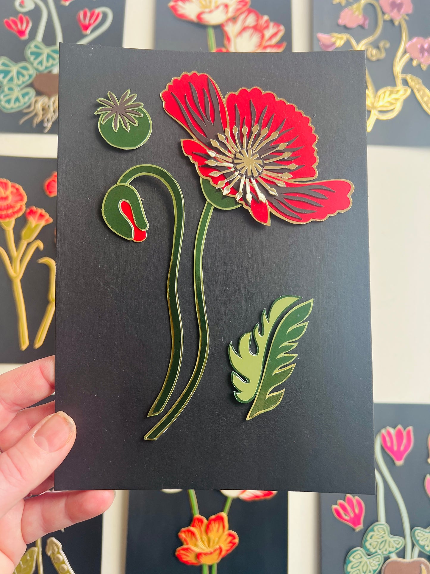 Red Poppy