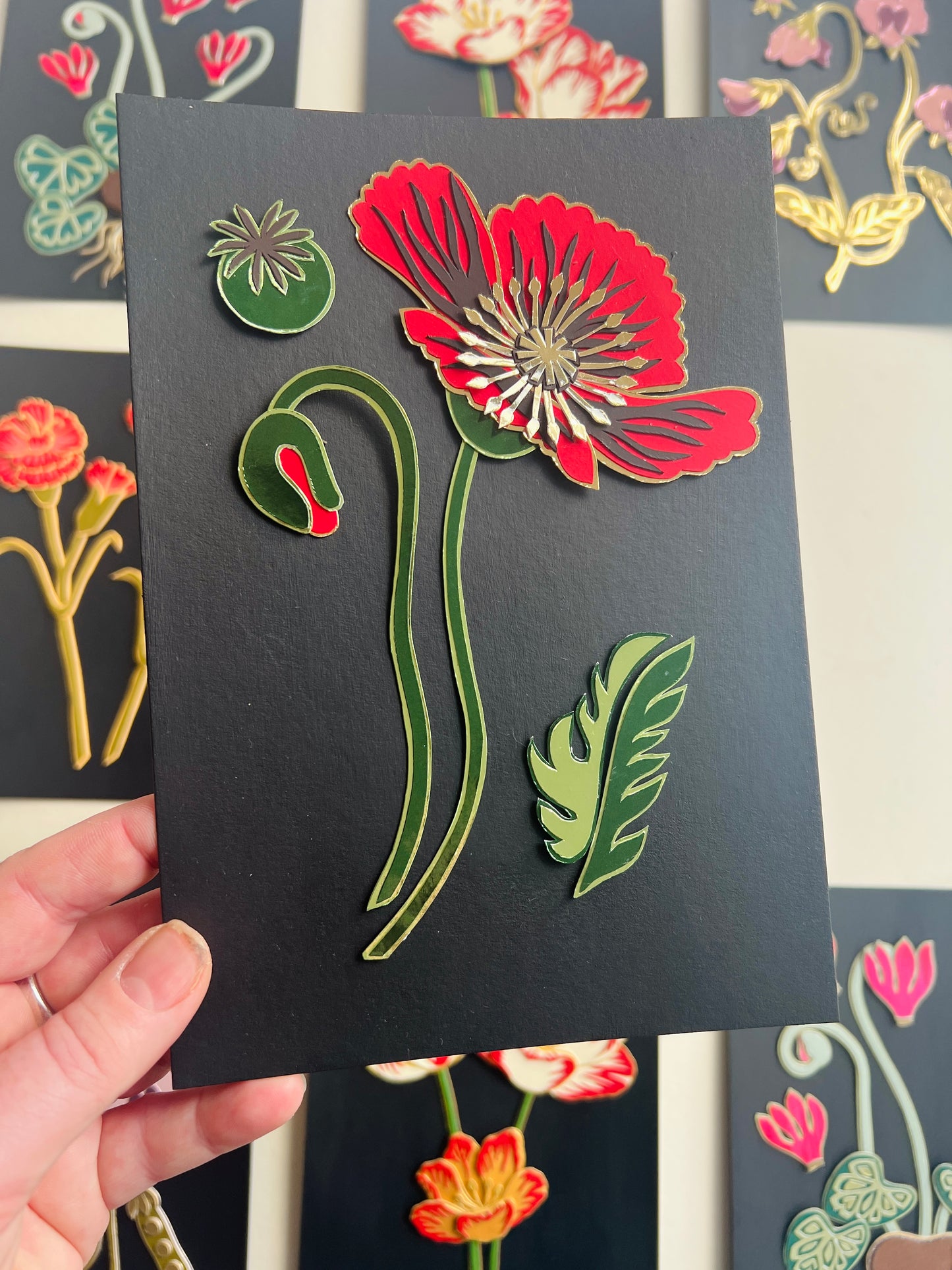 Red Poppy