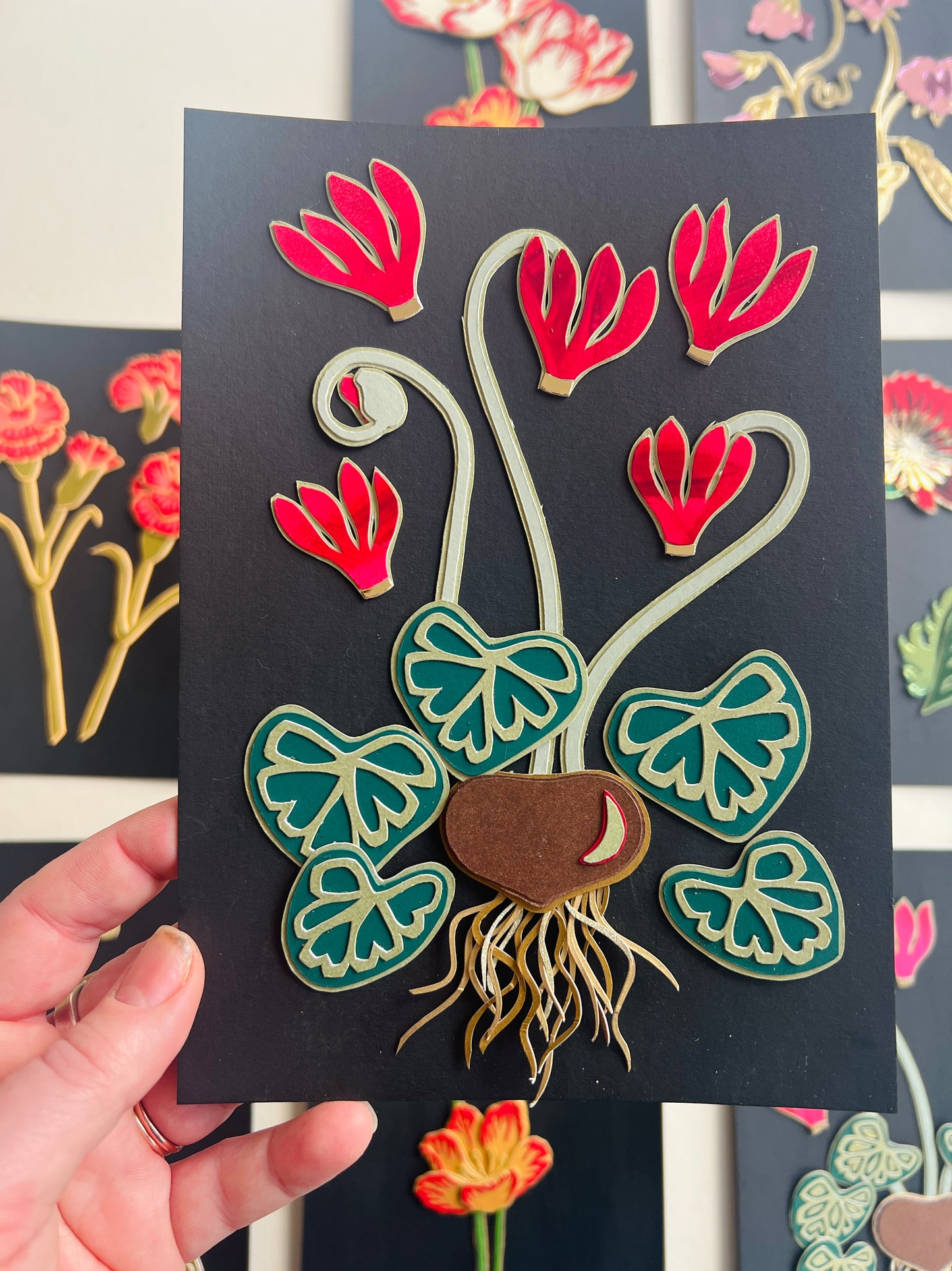 Cyclamen II