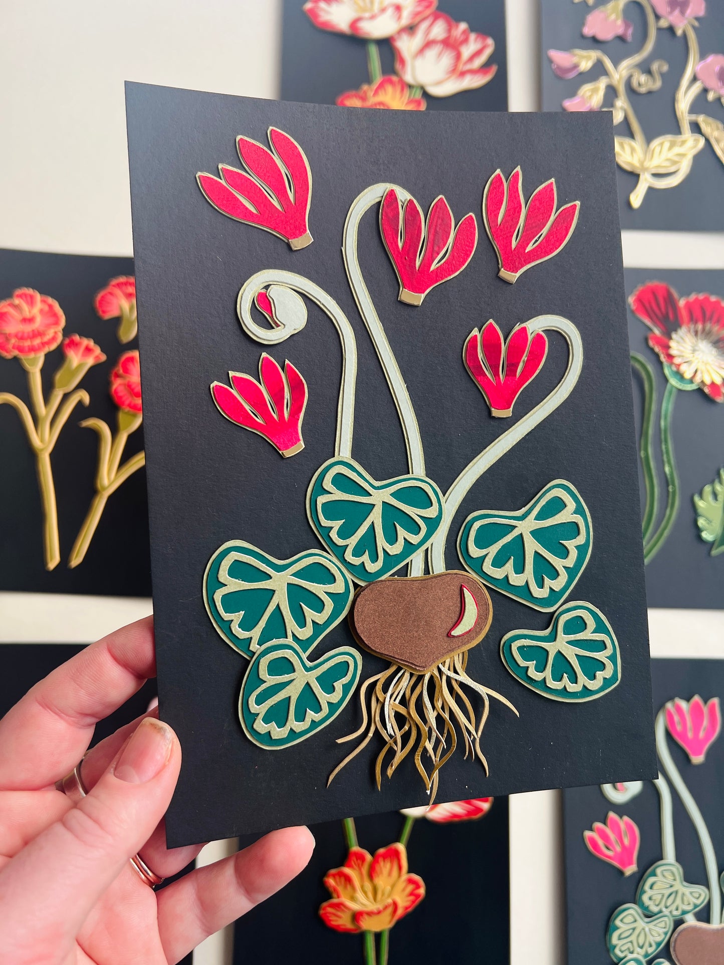 Cyclamen II