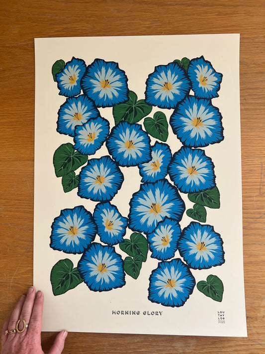 A2 Morning Glory