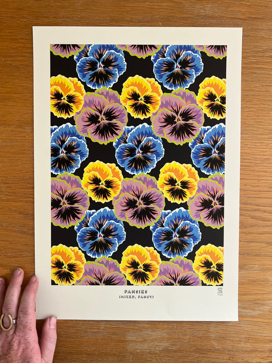 A3 Pansies (Mixed, Fancy)