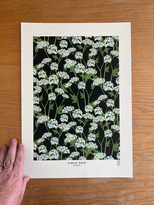 A3 Field Trip (Black)