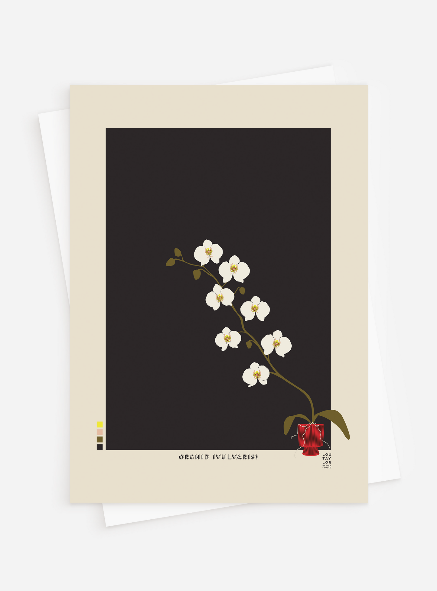 Orchid (Vulvaris) Greetings Card