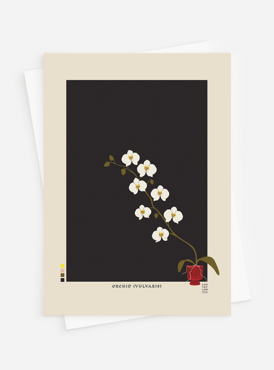 Orchid (Vulvaris) Greetings Card