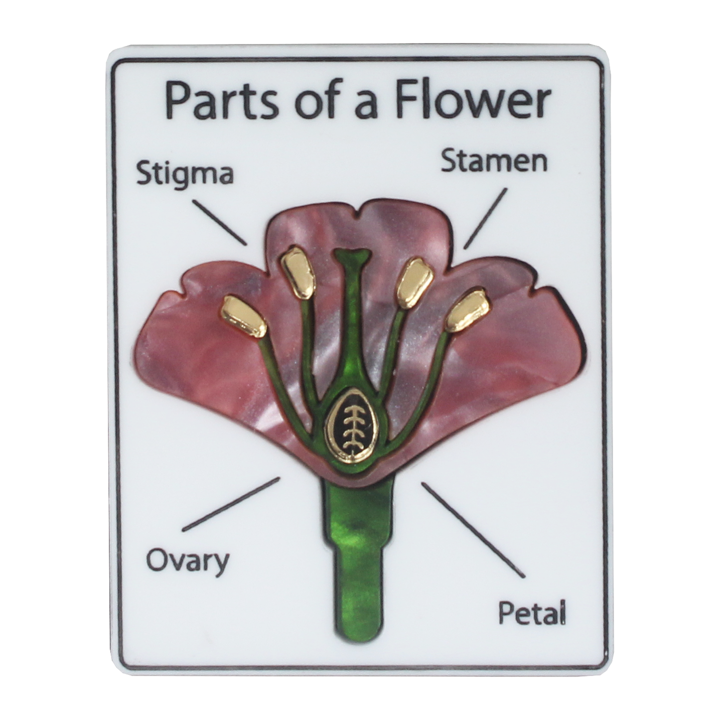Parts of a Flower brooch