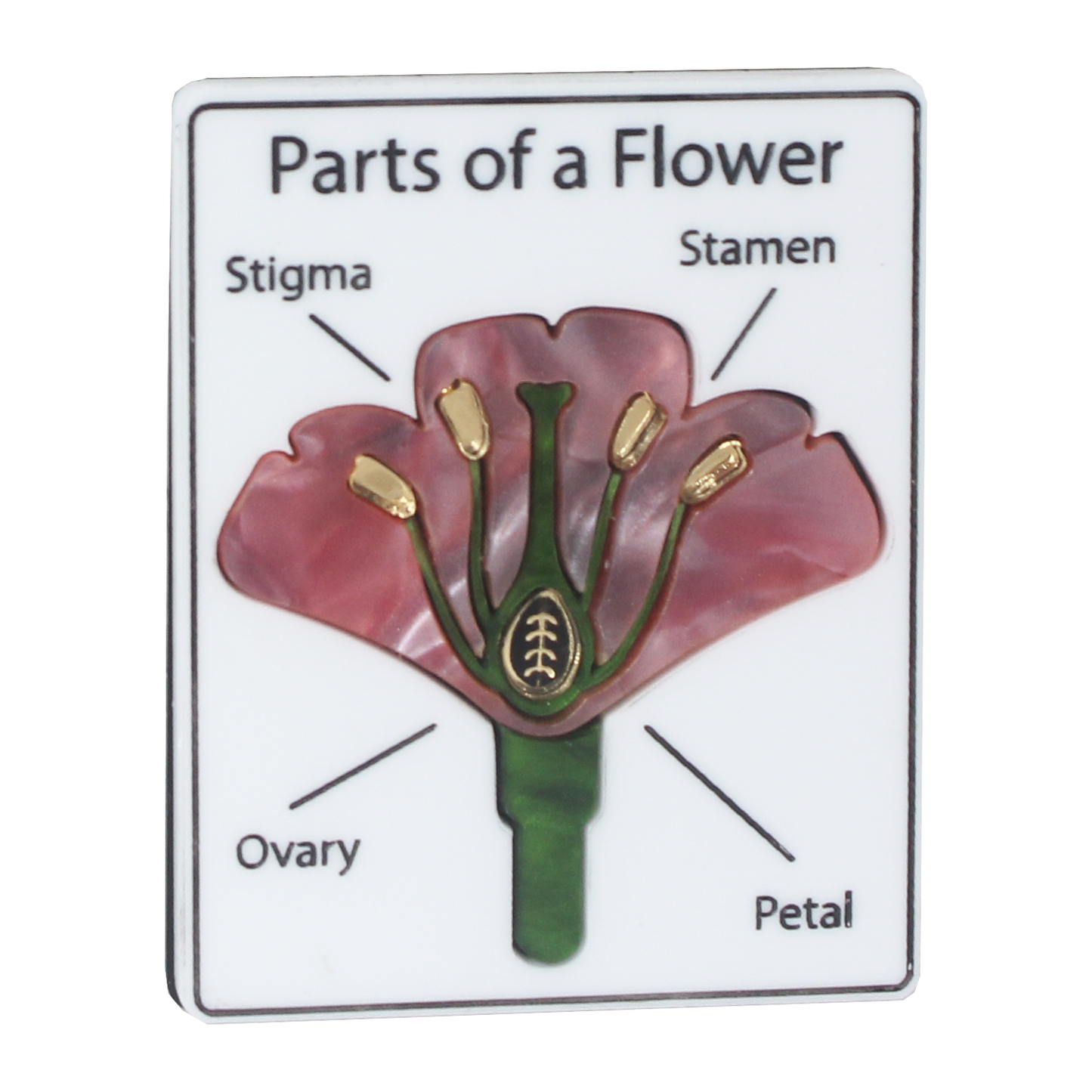 Parts of a Flower brooch