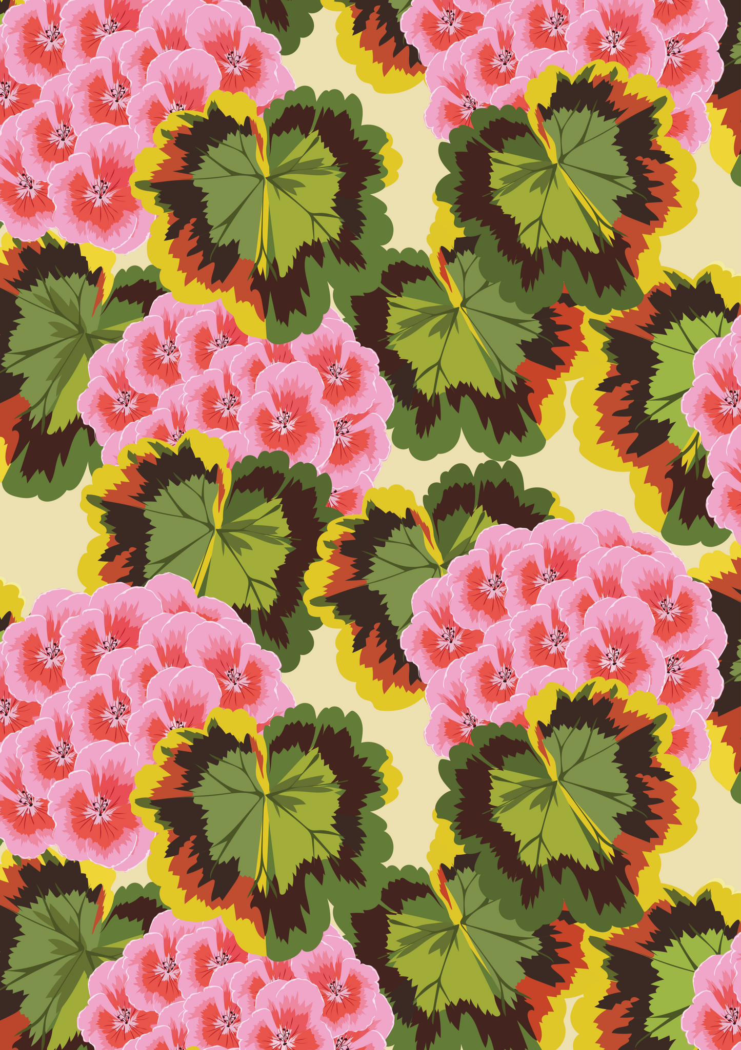 A1 Pelargonium No.2 (Pink)