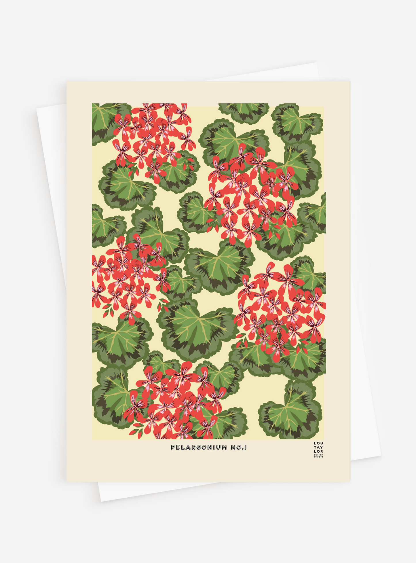Pelargonium No.1 Greetings Card
