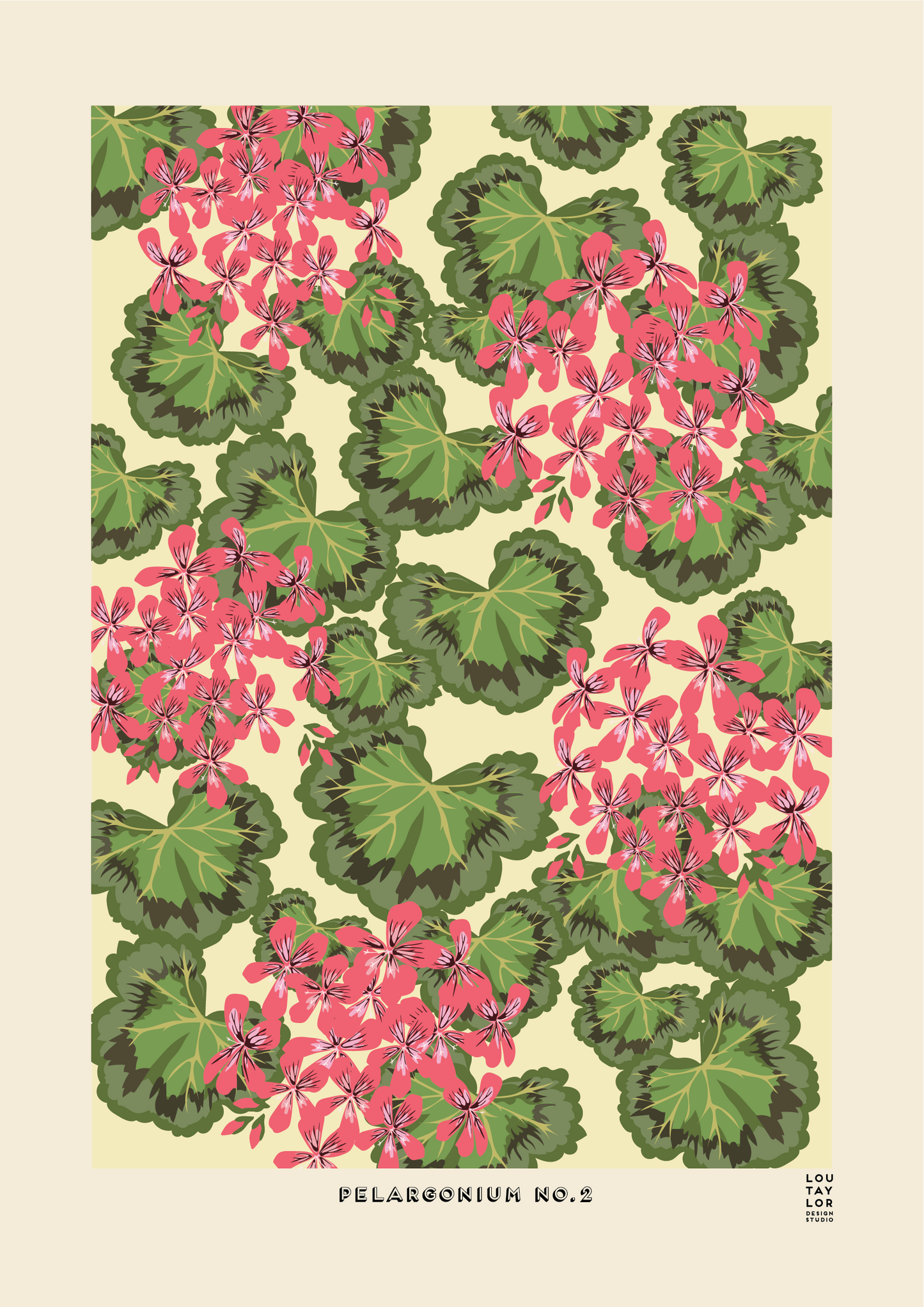 Pelargonium No.2 (Pink)