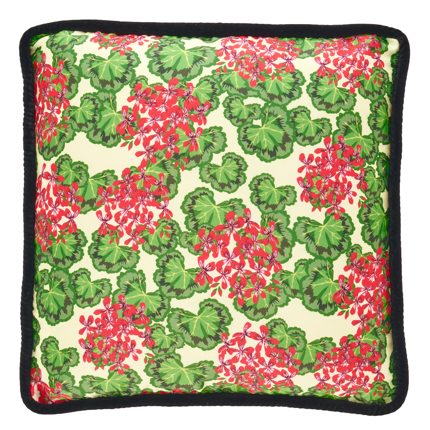 Pelargonium Cushion