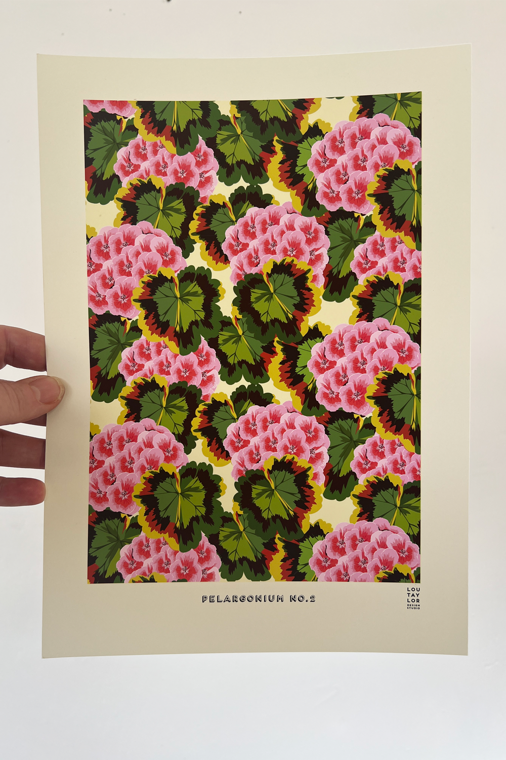 A4 Pink Pelargonium No.2