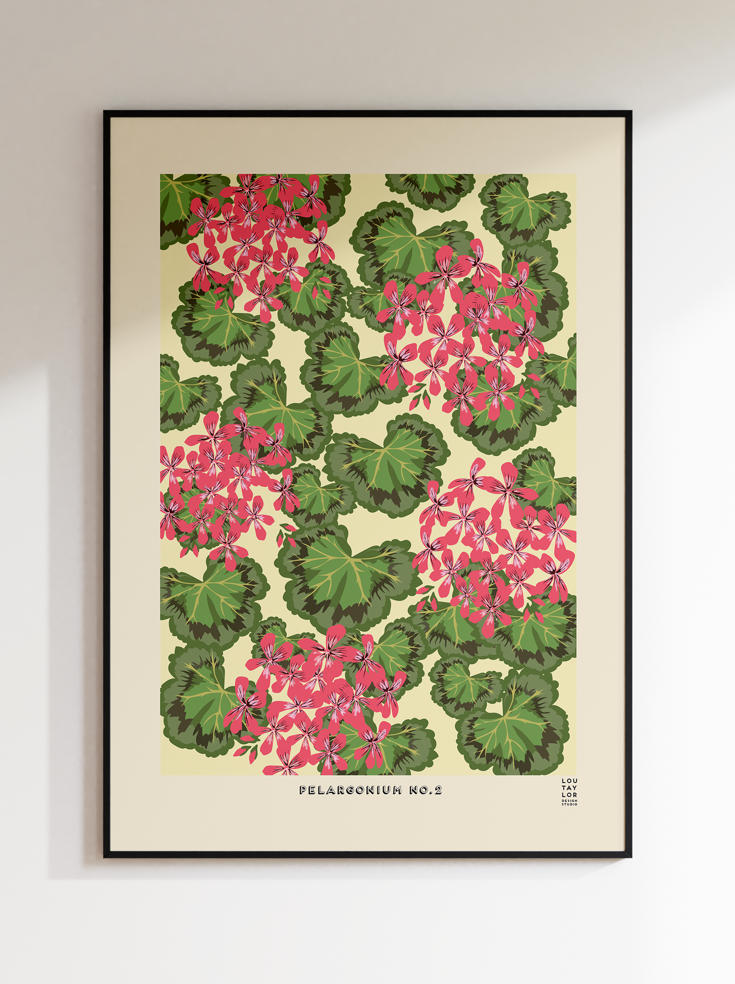 Pelargonium No.2 (Pink)