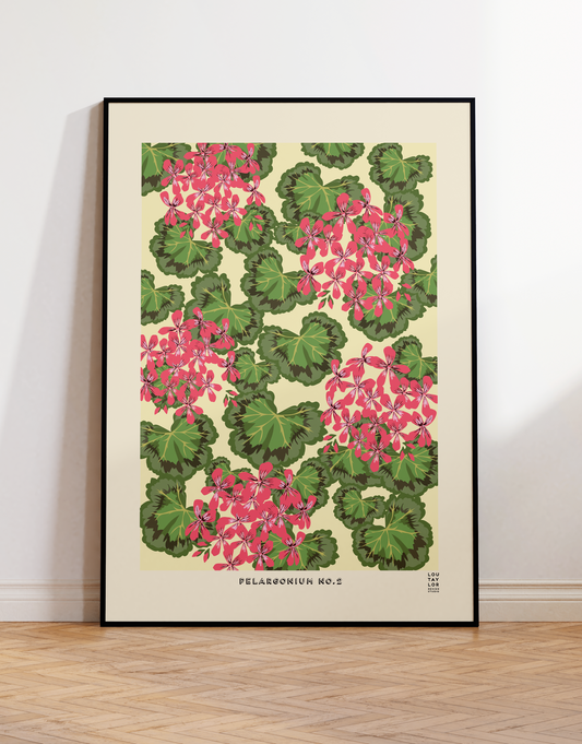 Pelargonium No.2 (Pink)