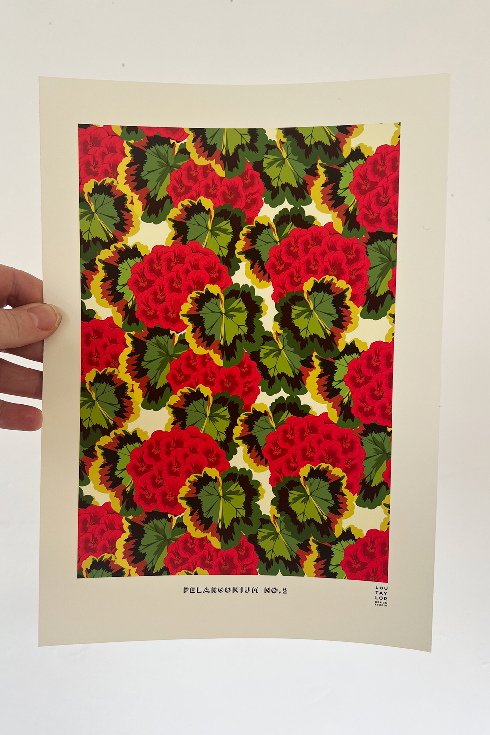 A4 Red Pelargonium No.2