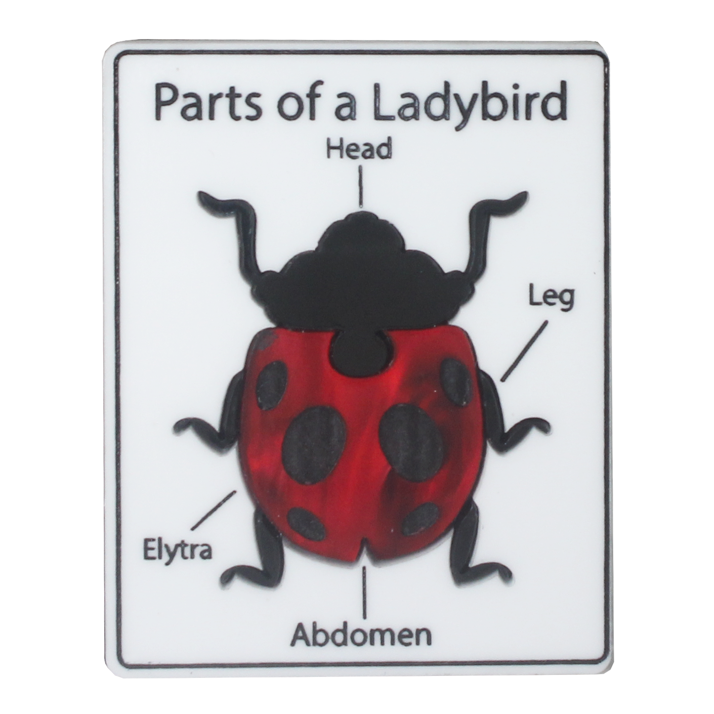 Parts of a Ladybird brooch