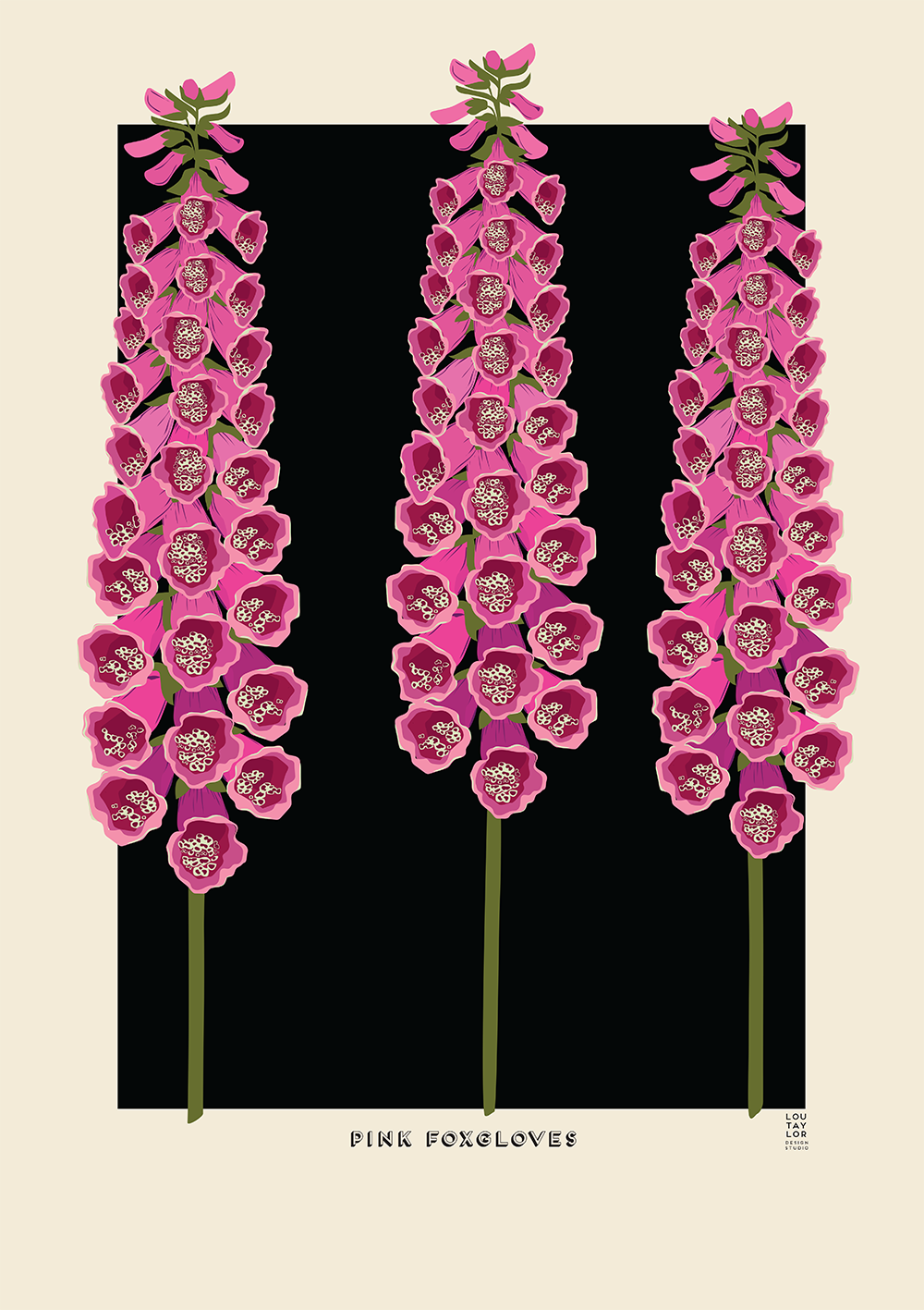 Pink Foxgloves