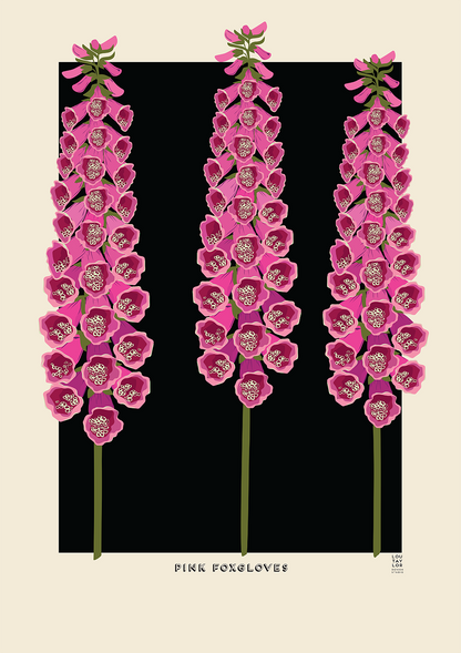 Pink Foxgloves