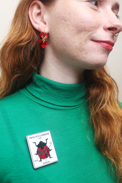 Parts of a Ladybird brooch