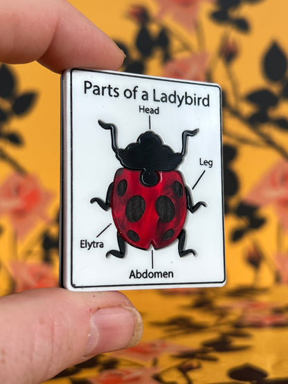 Parts of a Ladybird brooch