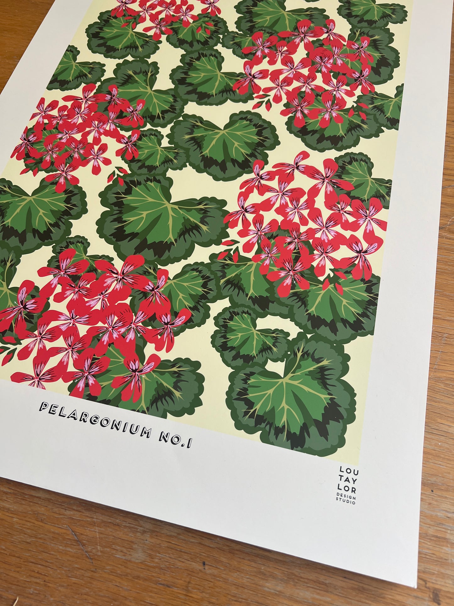 A2 Pelargonium No.1 (Red)