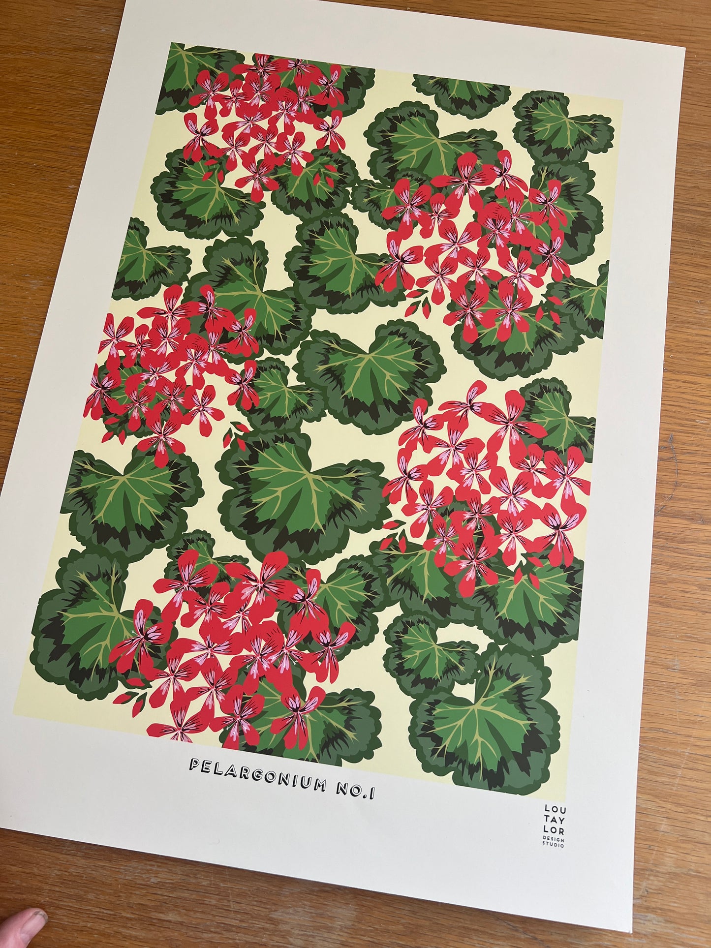 A2 Pelargonium No.1 (Red)