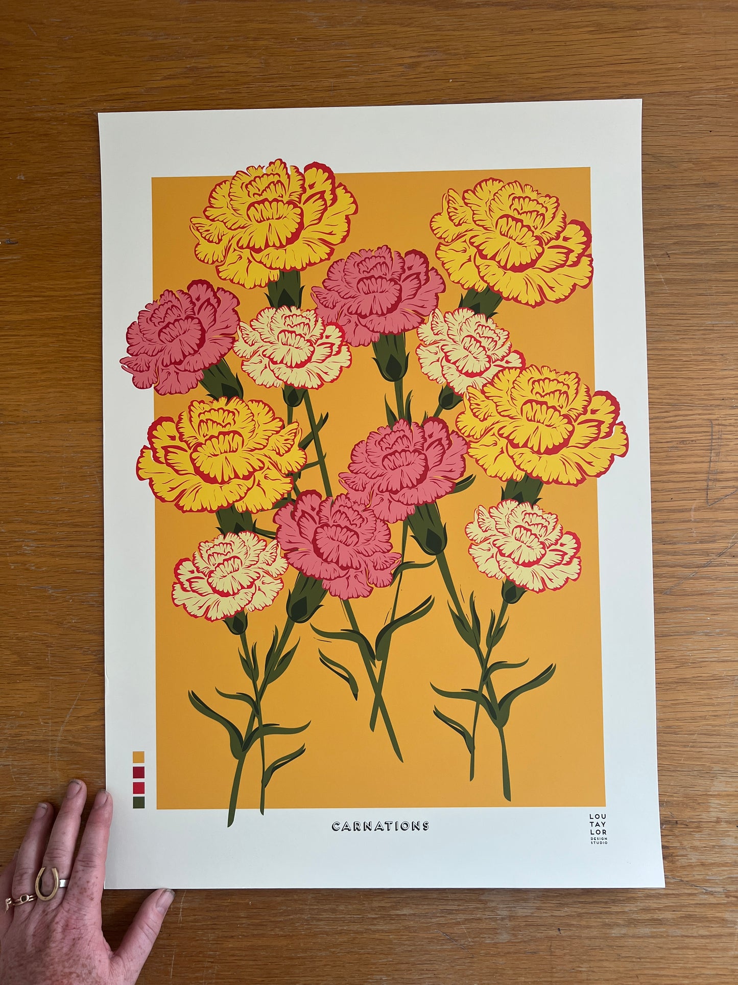 A2 Carnations