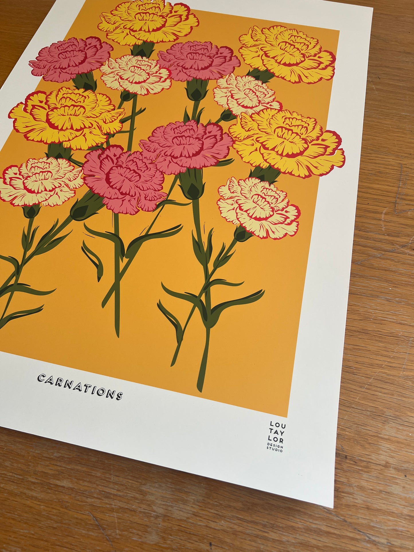 A2 Carnations