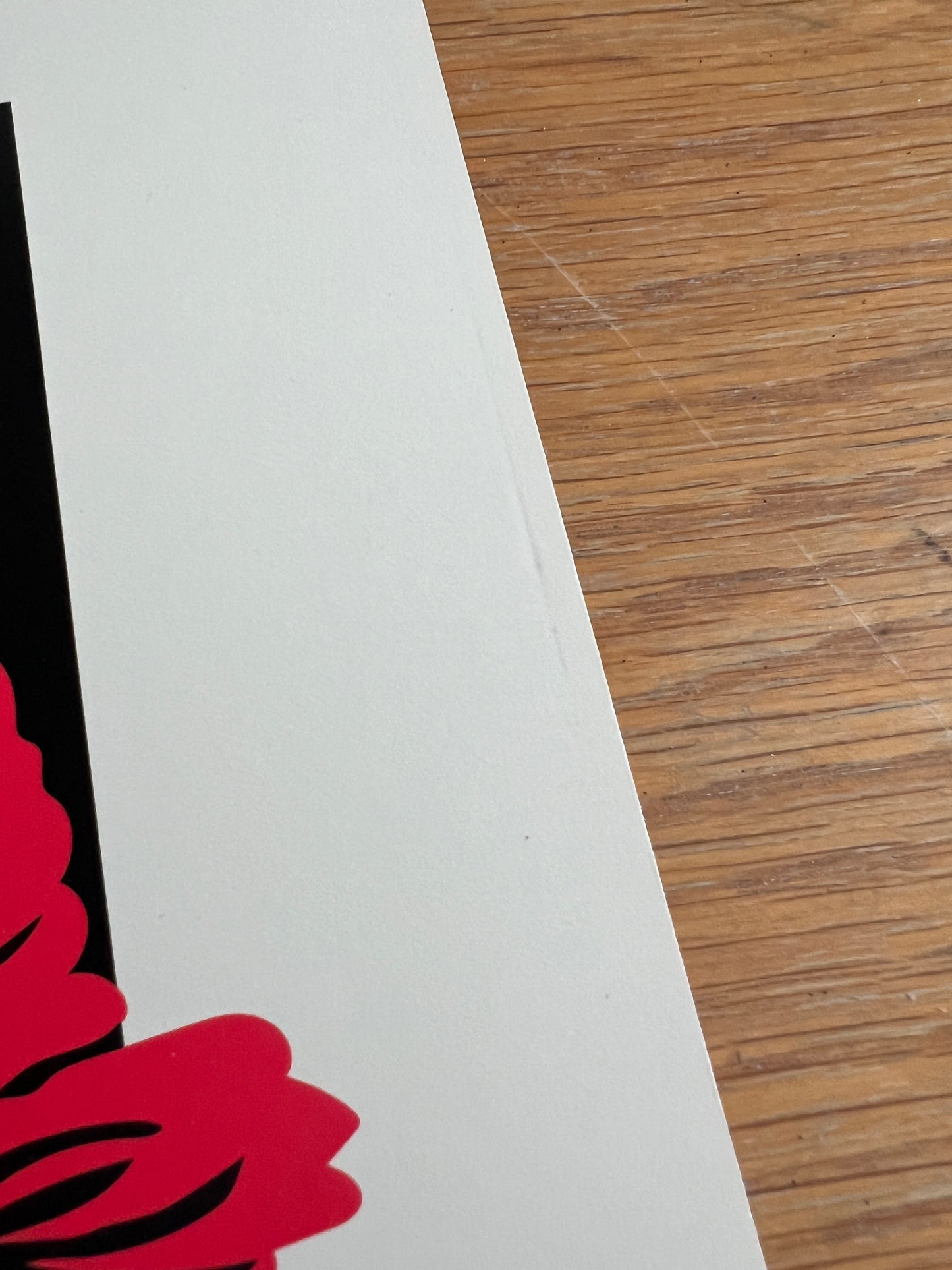 A2 Red Poppies