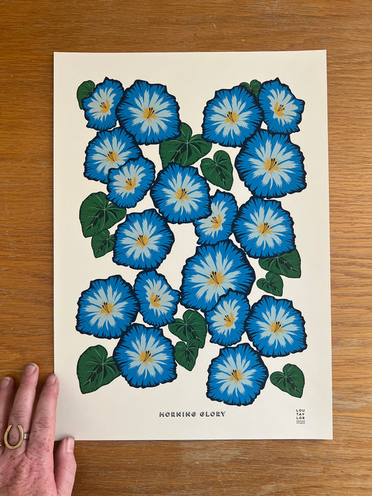 A3 Morning Glory