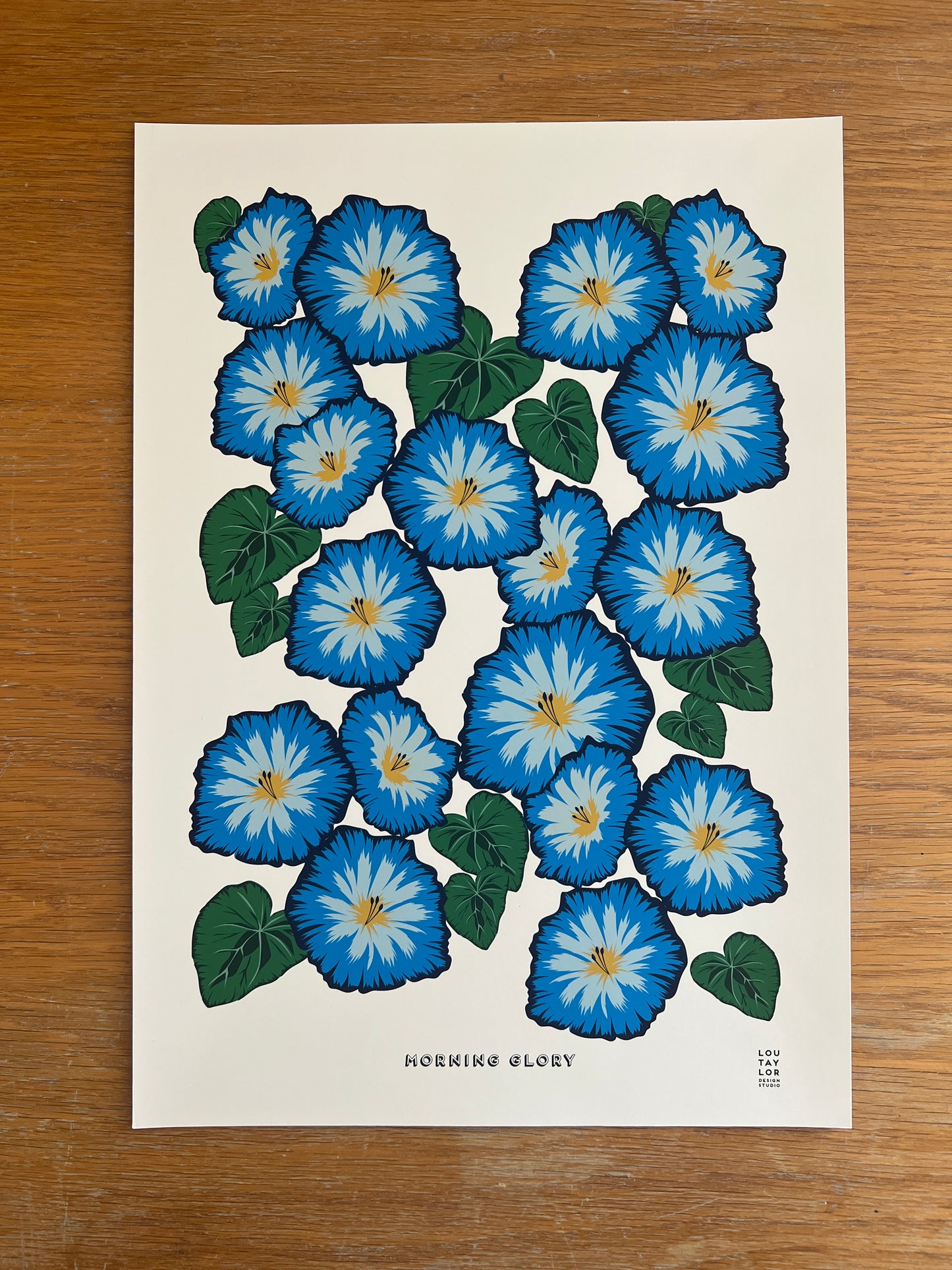 A3 Morning Glory