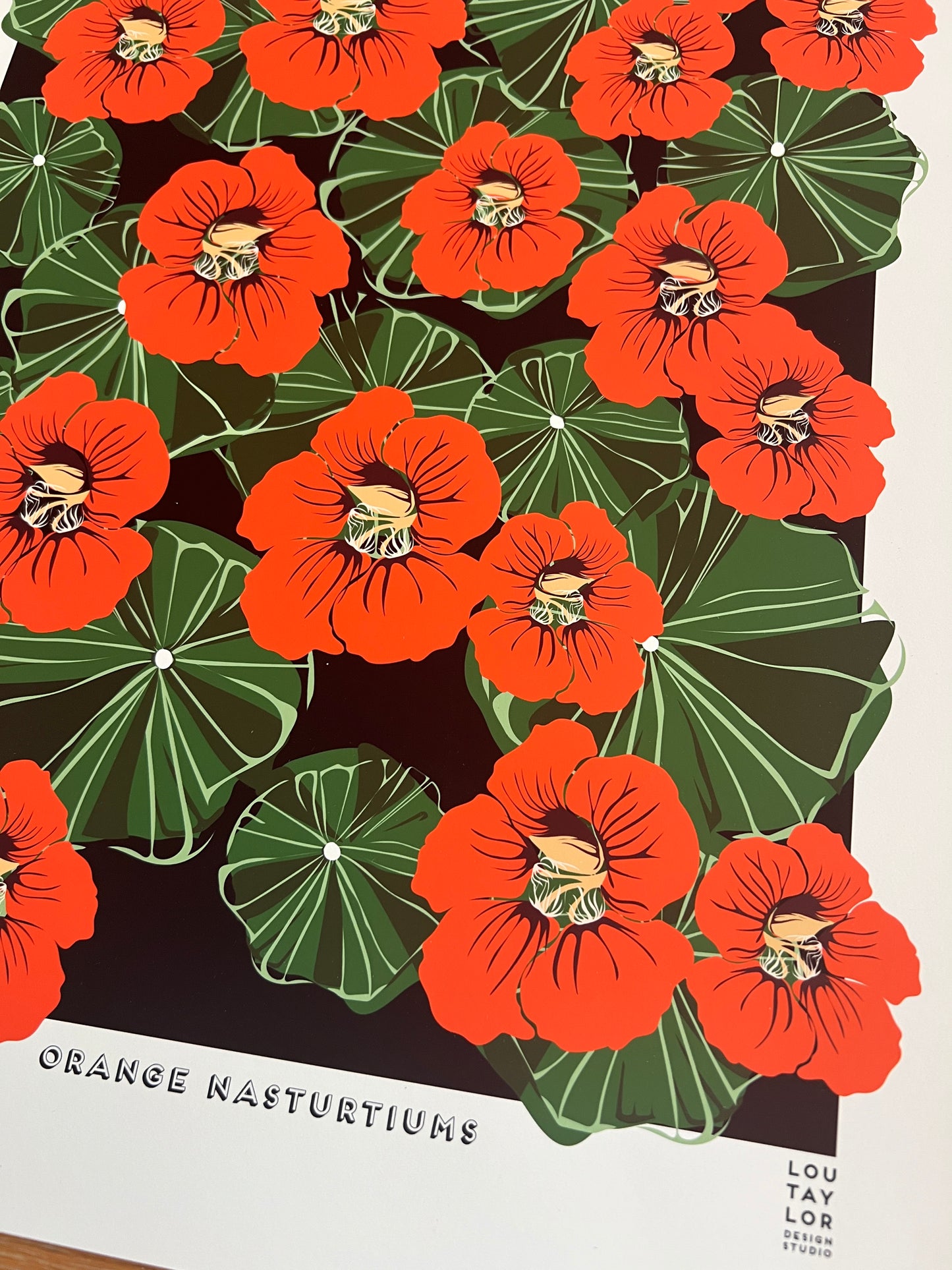 A3 Nasturtiums