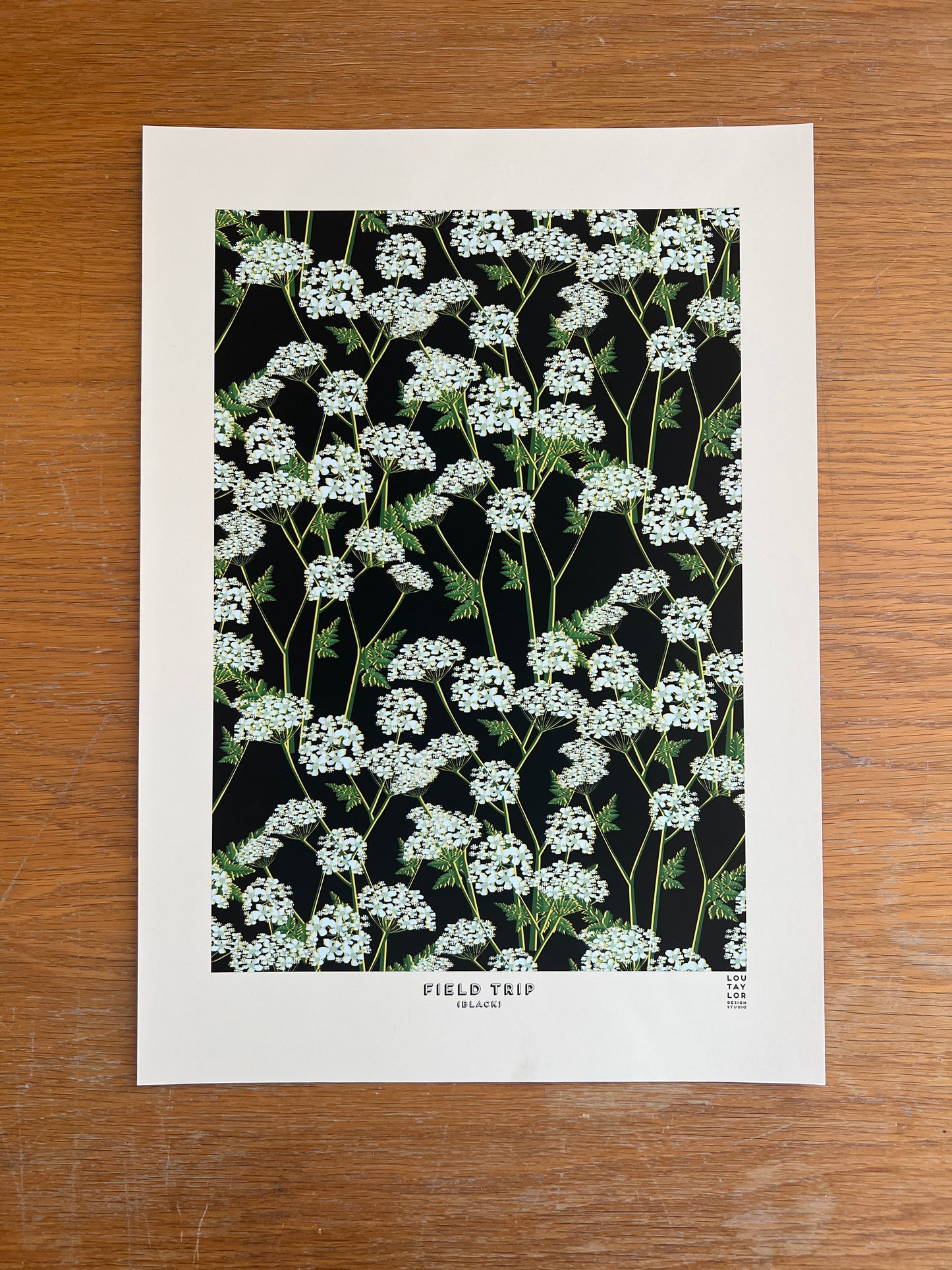 A3 Field Trip (Black)