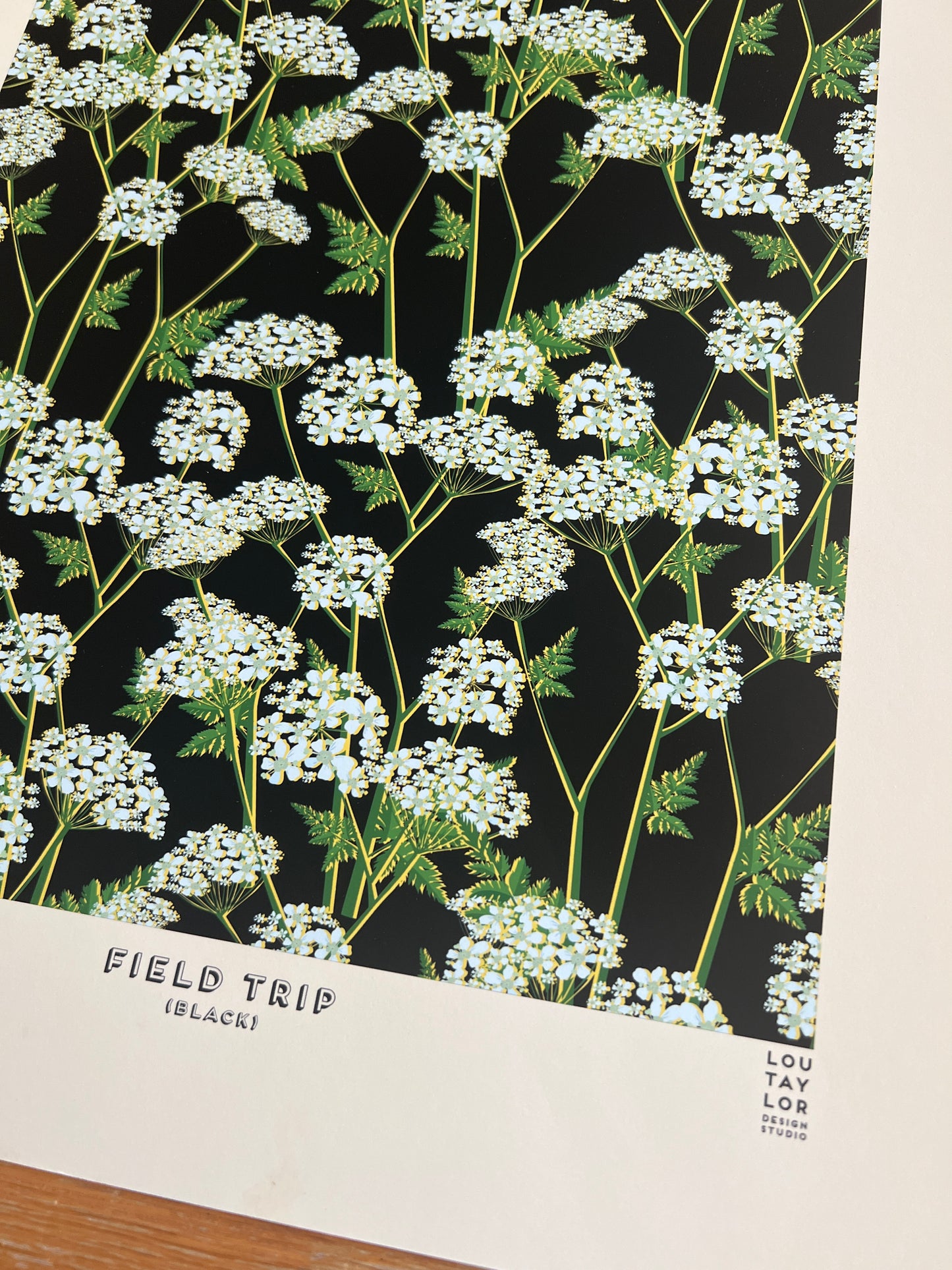 A3 Field Trip (Black)