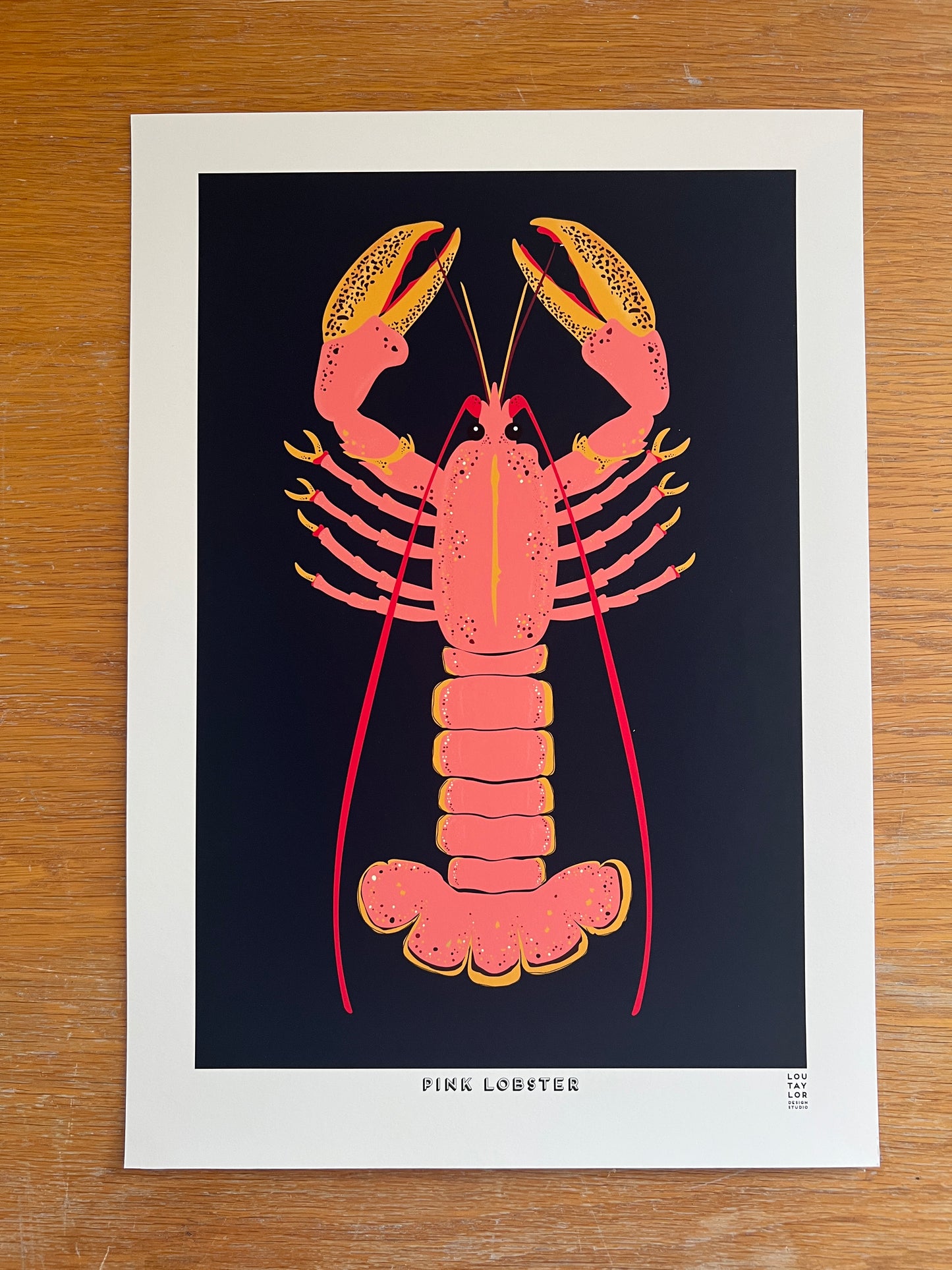 A3 Pink Lobster