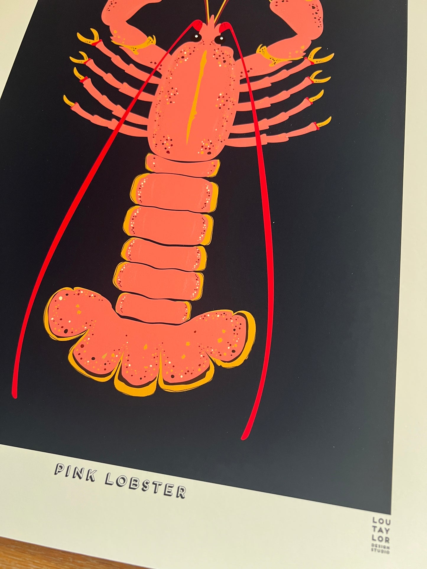 A3 Pink Lobster