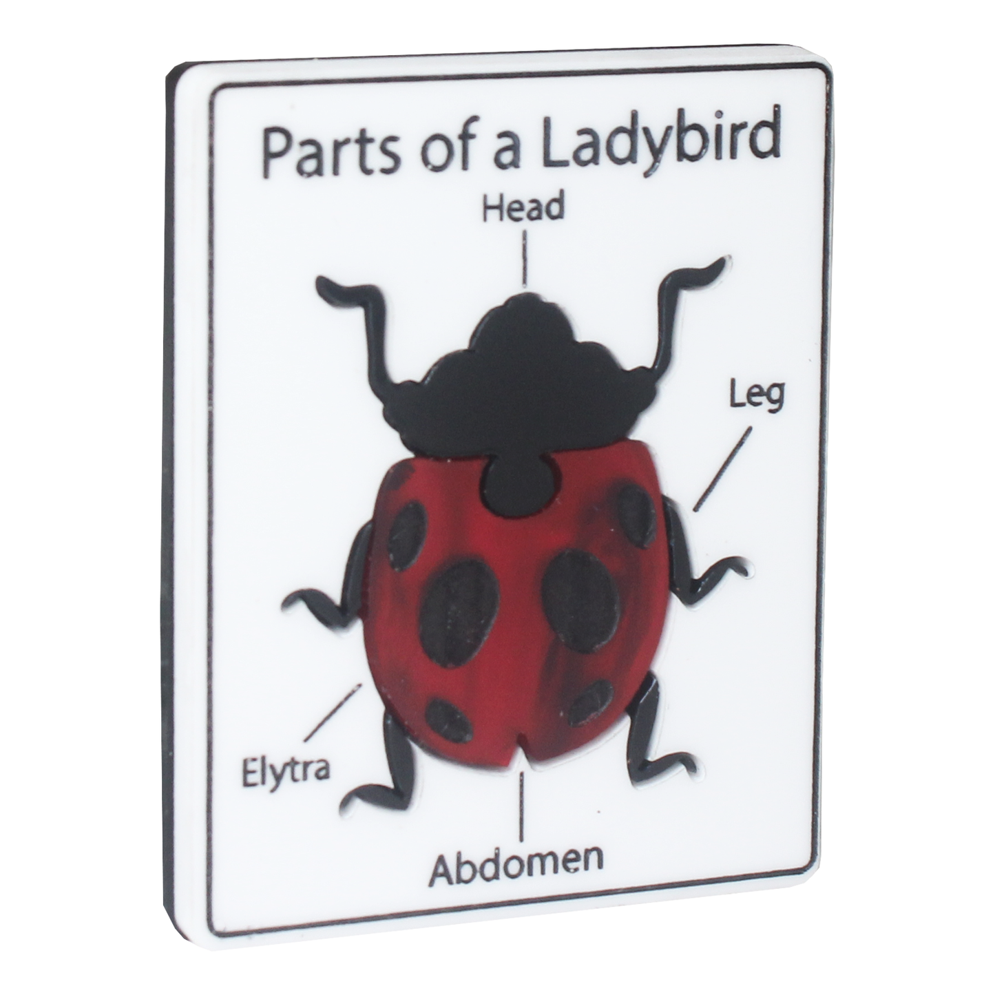 Parts of a Ladybird brooch