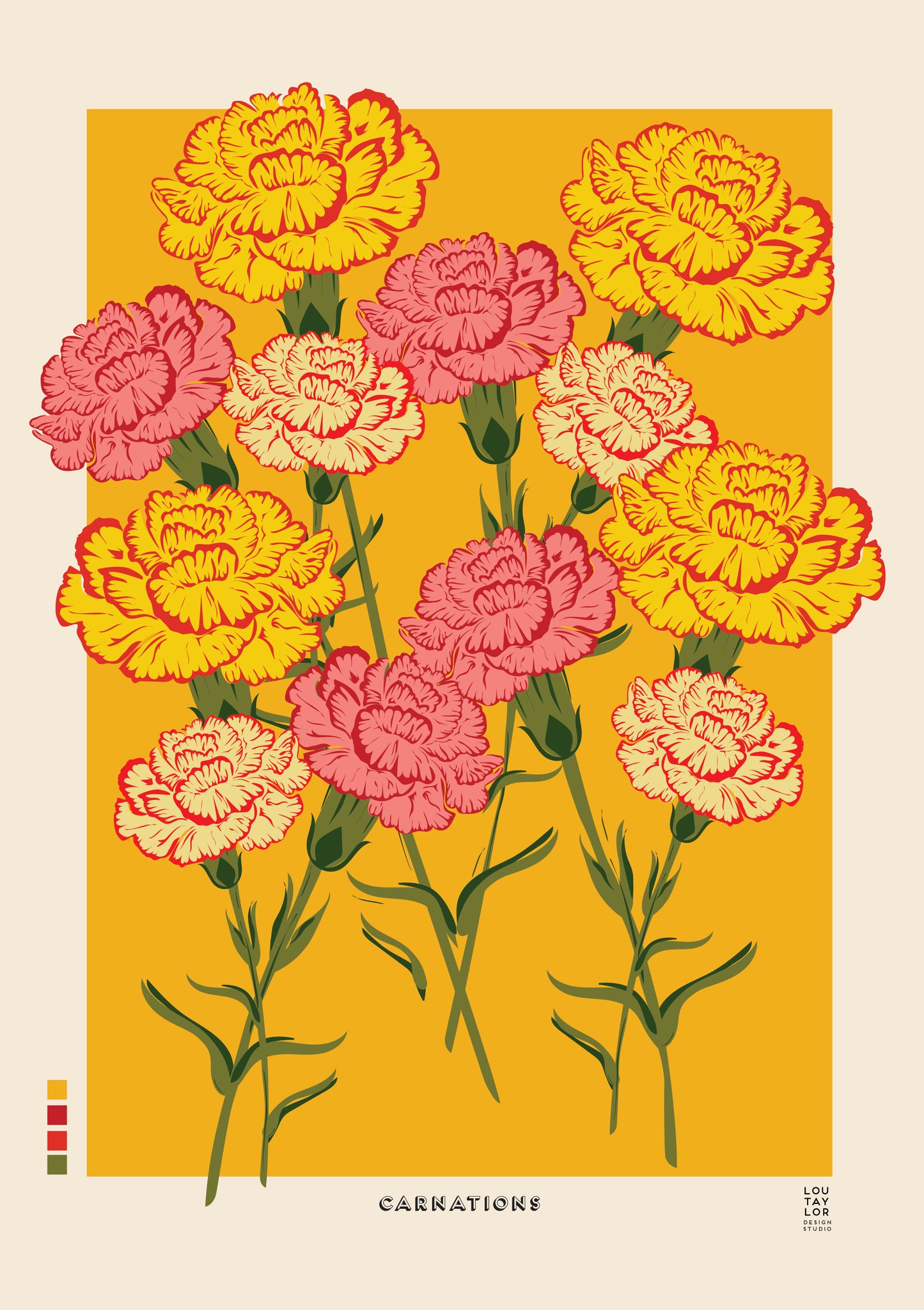 A2 Carnations