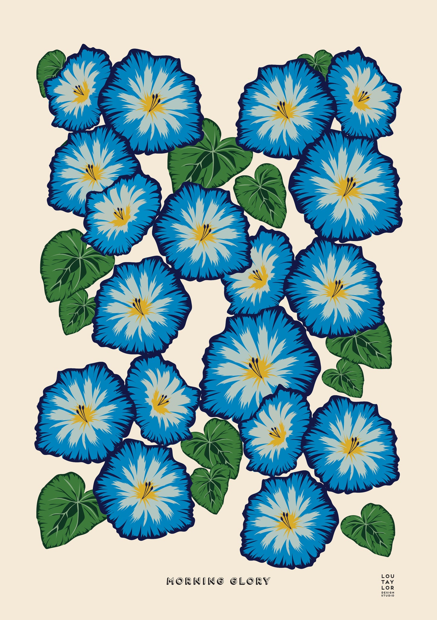 A3 Morning Glory