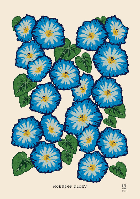 A3 Morning Glory